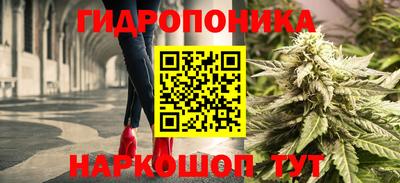 гашиш Тара