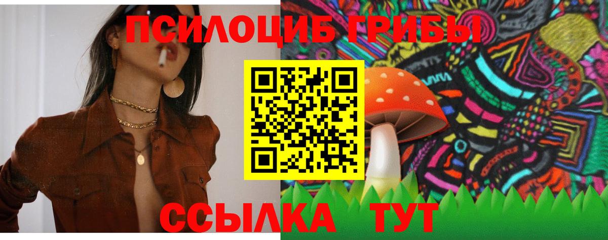 Псилоцибиновые грибы MAGIC MUSHROOMS Октябрьский