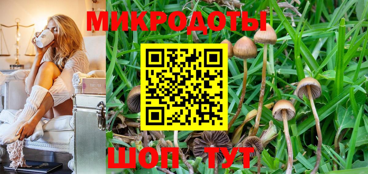 Псилоцибиновые грибы Psilocybe  Вход с VPN  Октябрьский 